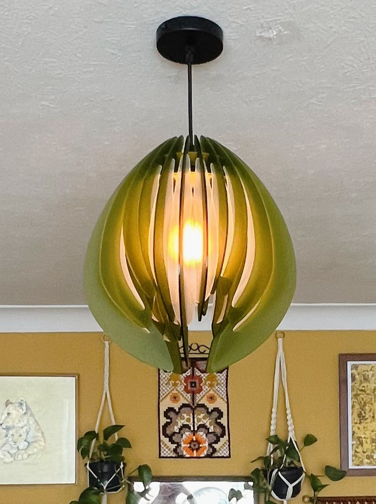 Large Green and white Feathered Tulip