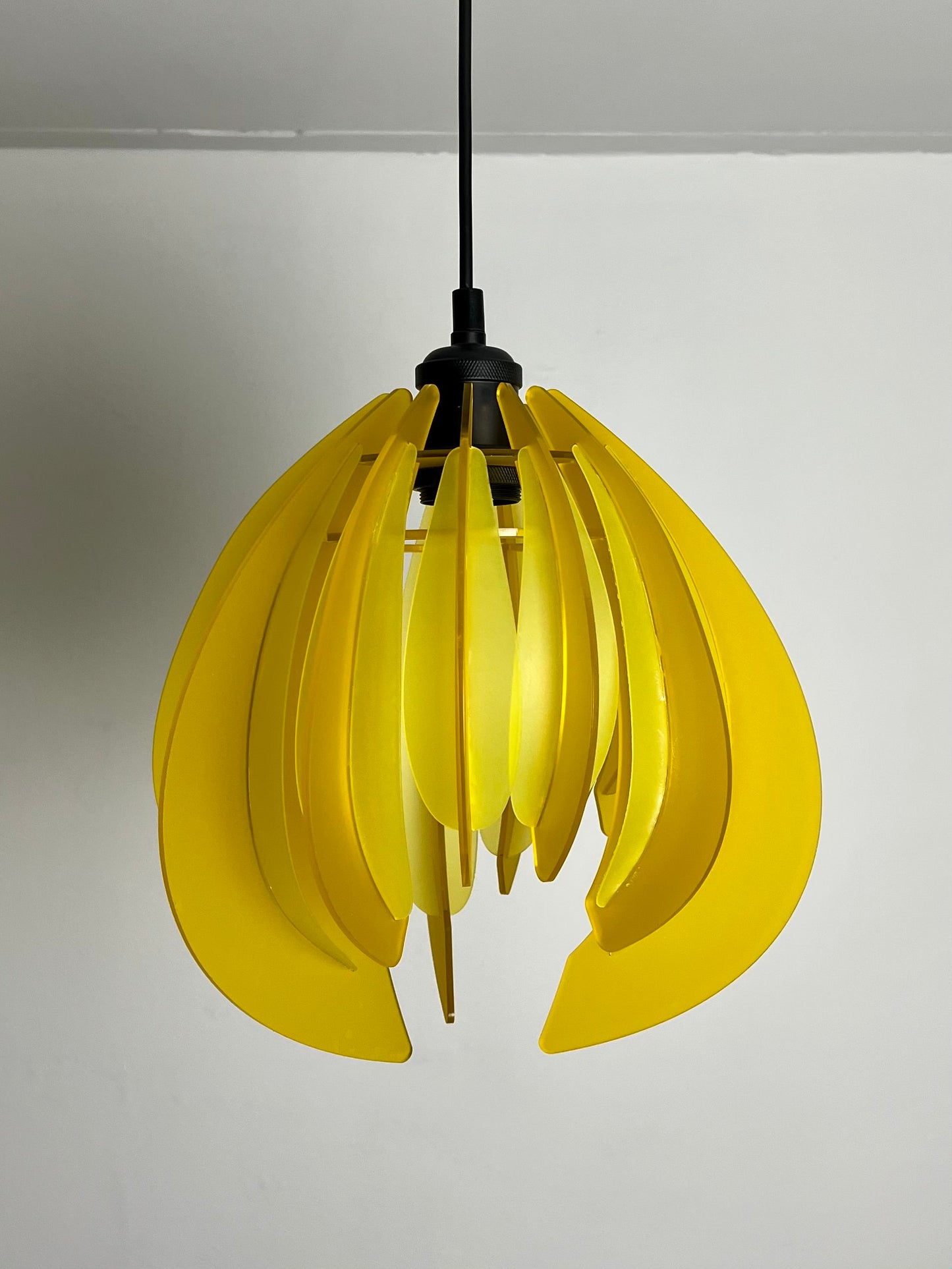 Canary Yellow Feathered Tulip