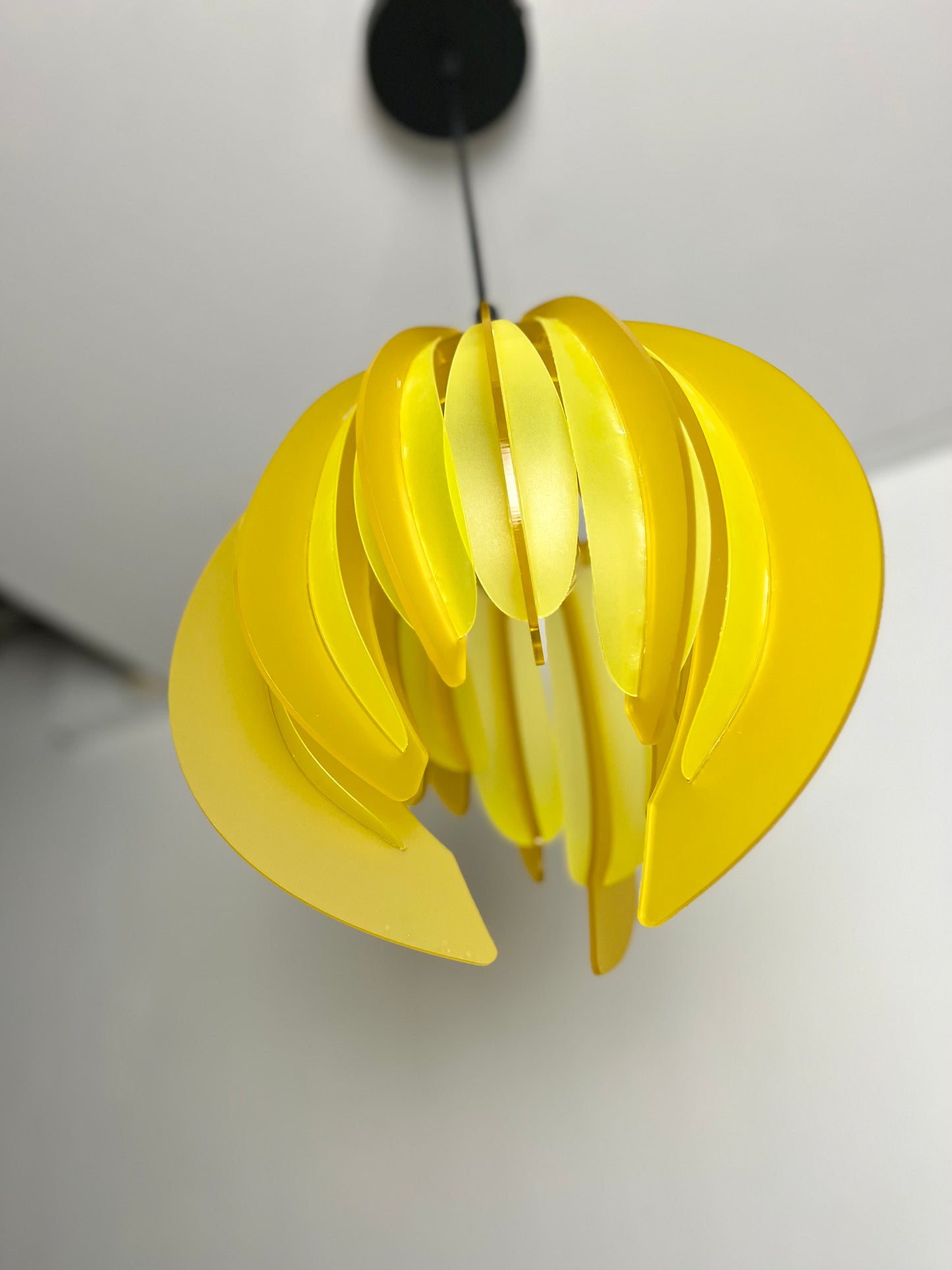 Canary Yellow Feathered Tulip