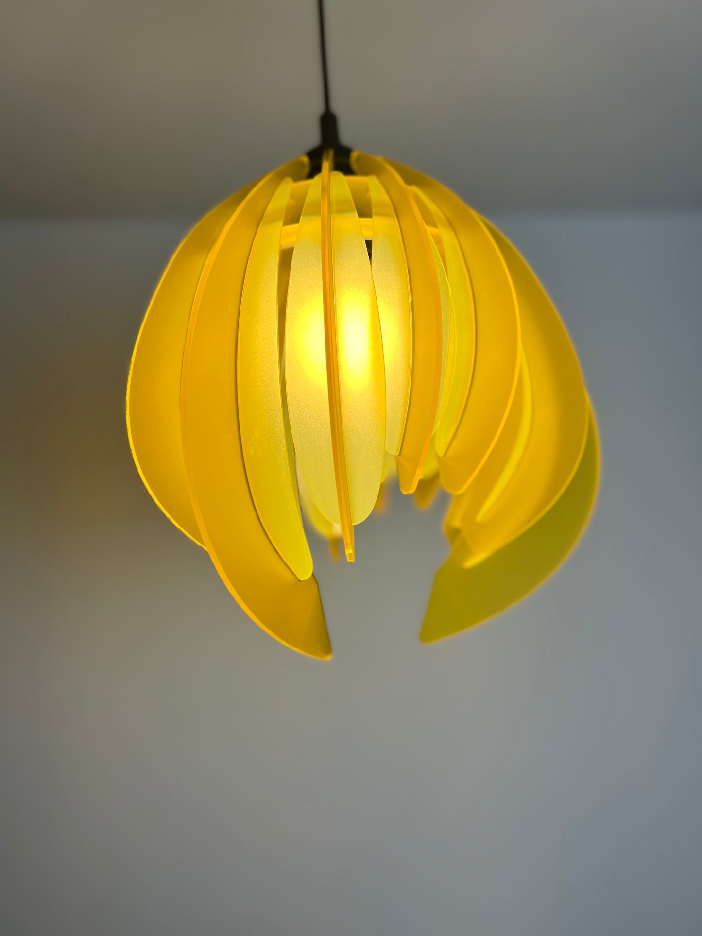 Canary Yellow Feathered Tulip