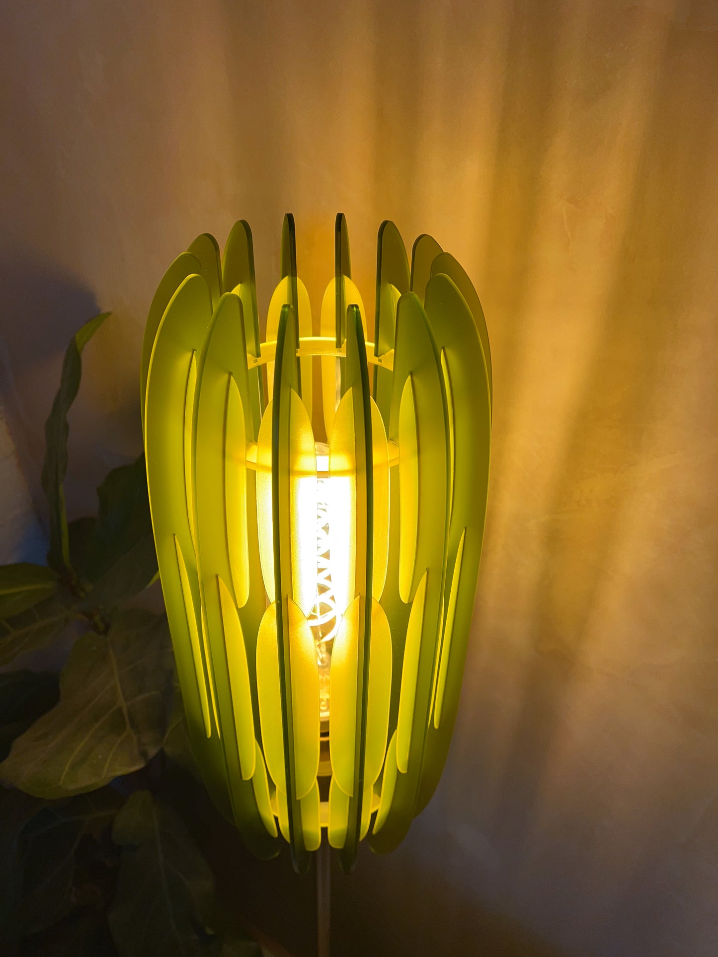 Avocado Cactus 460