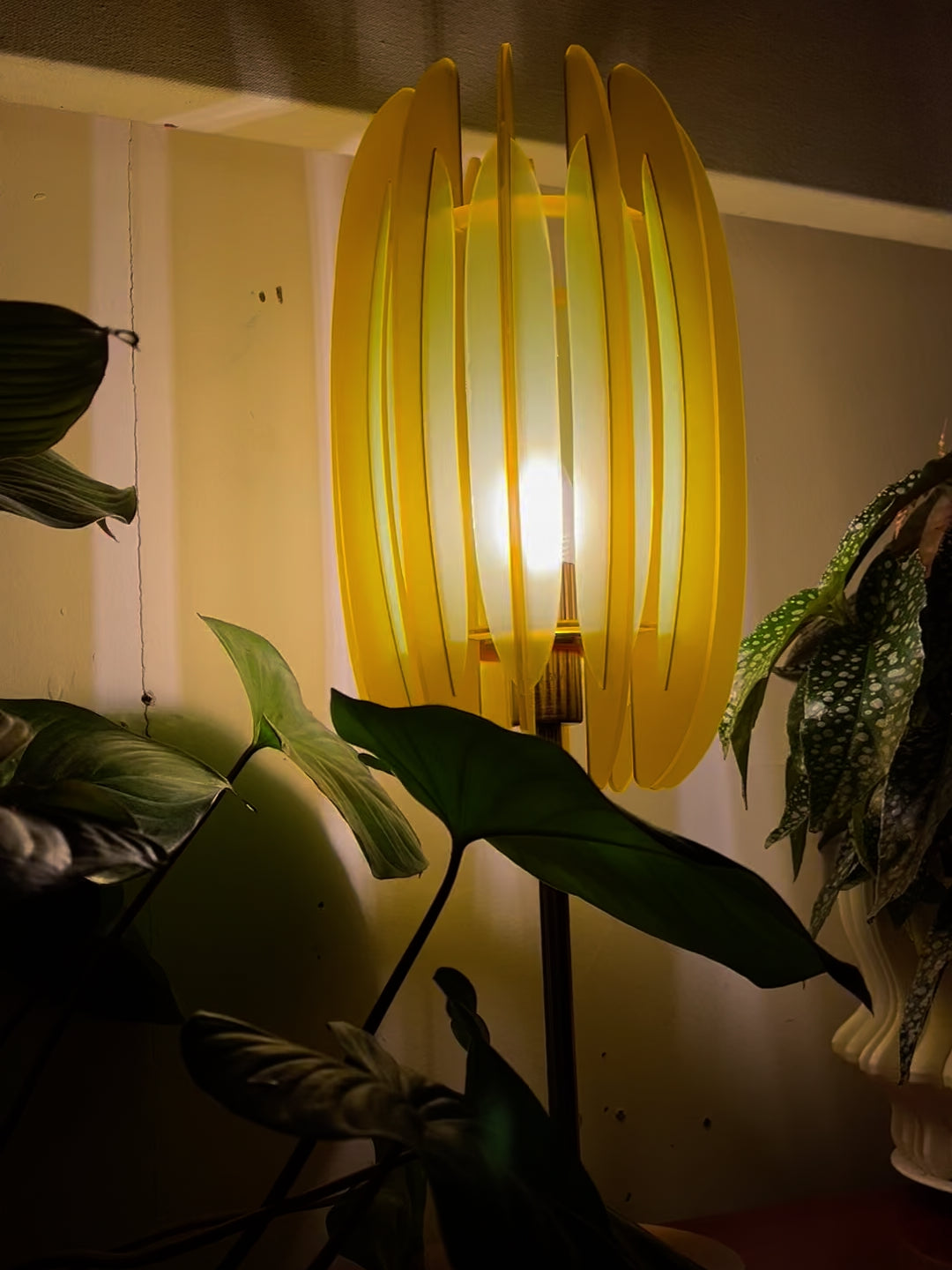 Cactus 300 Side Light – Fleur D'Light